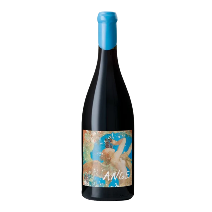 Domaine de l Ecu Ange 2020 750ml